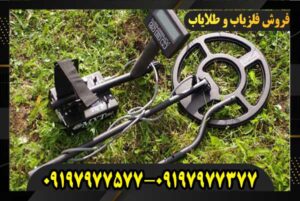 فلزیاب حرفه ای