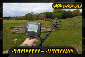 فلزیاب نقطه زن آنفیبیو مولتی 09197977577-09197977377