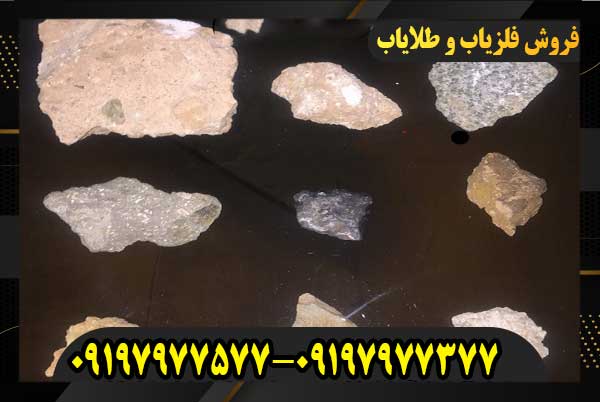 ساروج و کشف گنج‌ باستانی09197977377