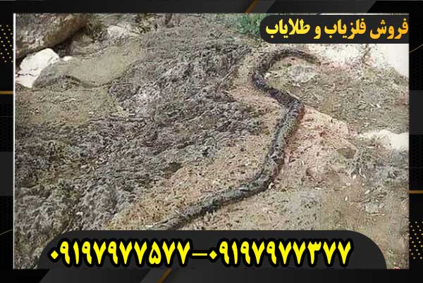 نماد مار در گنج‌ یابی 09197977577