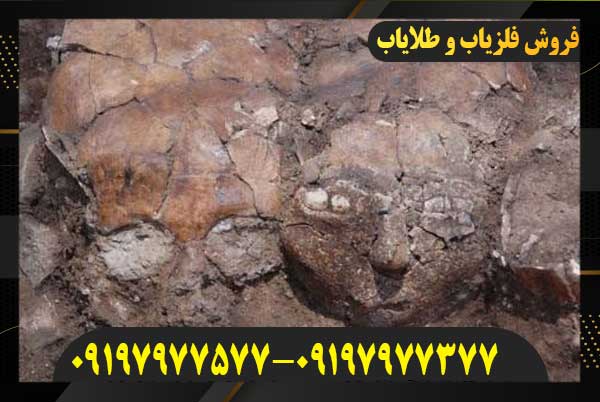 نماد جمجمه در گنجیابی09197977577