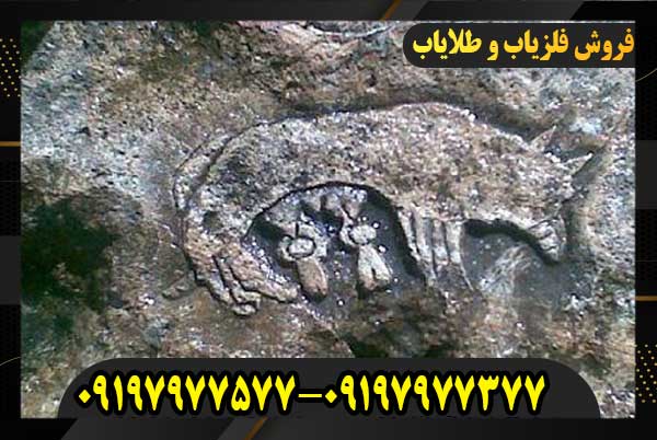 نشانه گرگ در گنج یابی09197977577