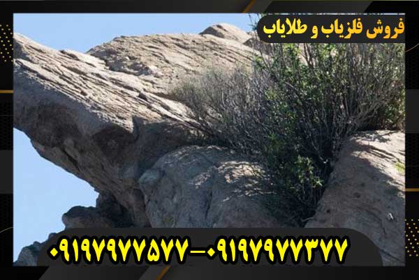 نشانه گرگ در گنج یابی09197977577