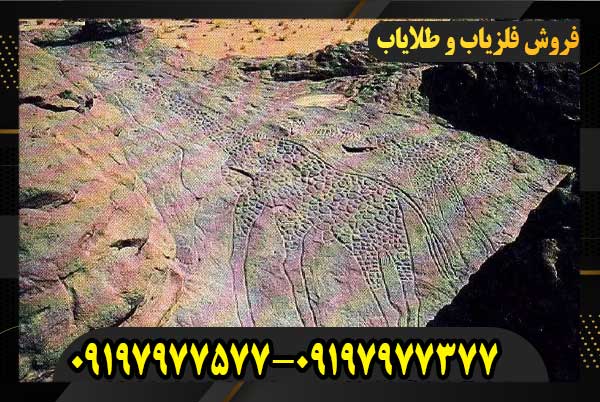 نشانه زرافه در دفینه یابی09197977577