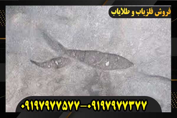 نشانه ماهی در گنج یابی09197977577