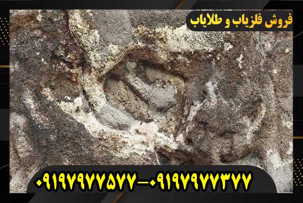 نشانه گرگ در گنج یابی09197977577