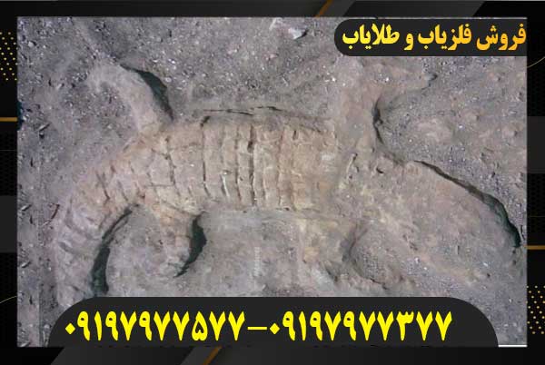 نماد تمساح در دفینه یابی09197977577