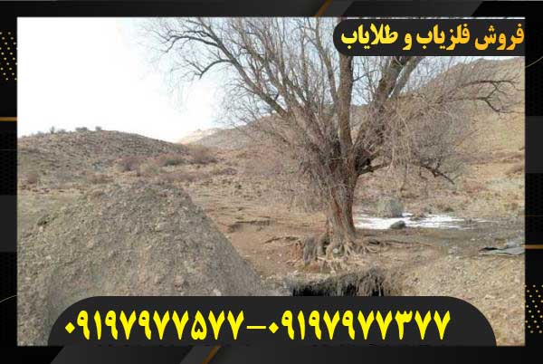 تفسیر نماد درخت در گنجیابی09197977577