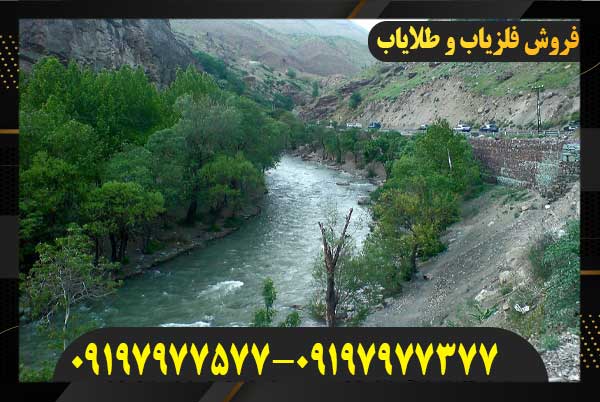 تفسیر نماد درخت در گنجیابی09197977577