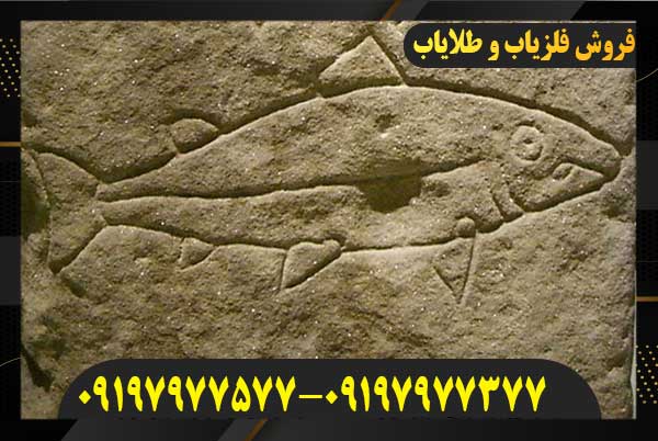 نشانه ماهی در گنج یابی09197977577