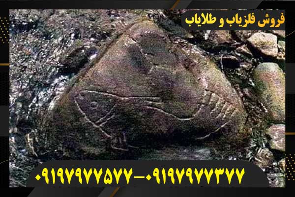 نشانه ماهی در گنج یابی09197977577