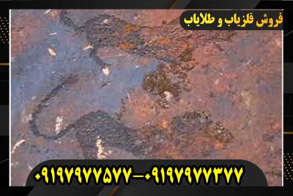 نماد پلنگ در گنج یابی