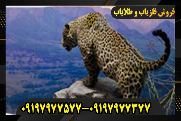 نماد پلنگ در گنج یابی