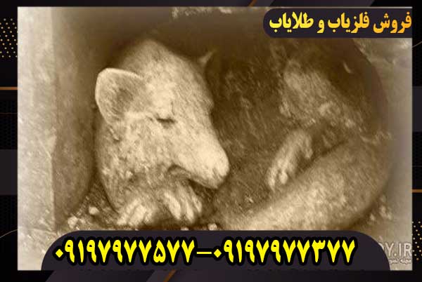 نماد روباه در دفینه یابی