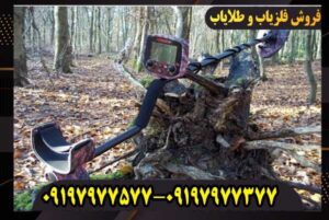 فلزیاب فیشر F19