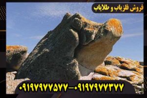 نماد خوک در دفینه یابی 